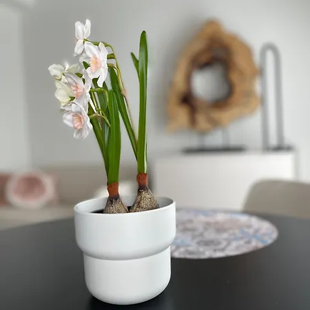 Picasso Centre 1e Apartment Malaga